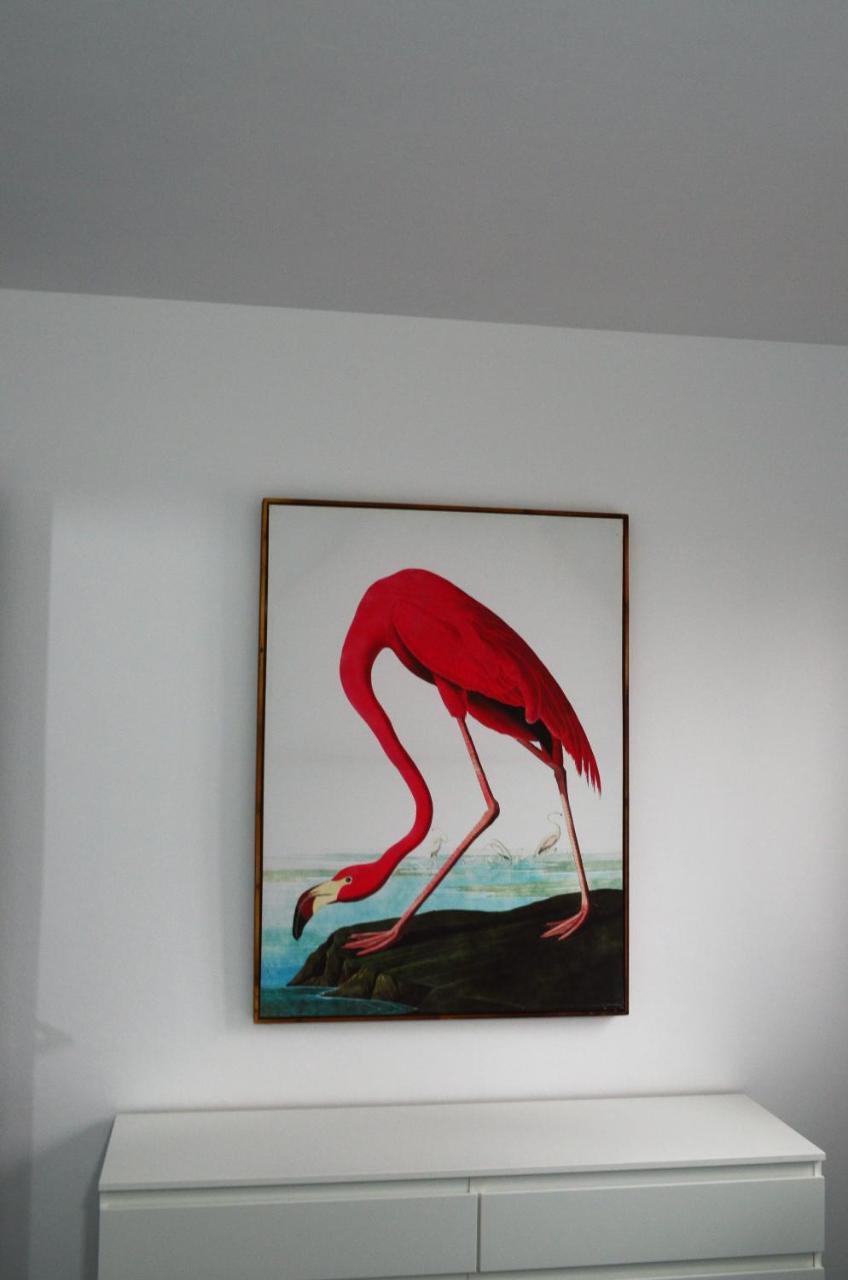 לוס יאנוס דה אריאדנה Apartamento Sauco מראה חיצוני תמונה